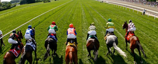 Caulfield 2011